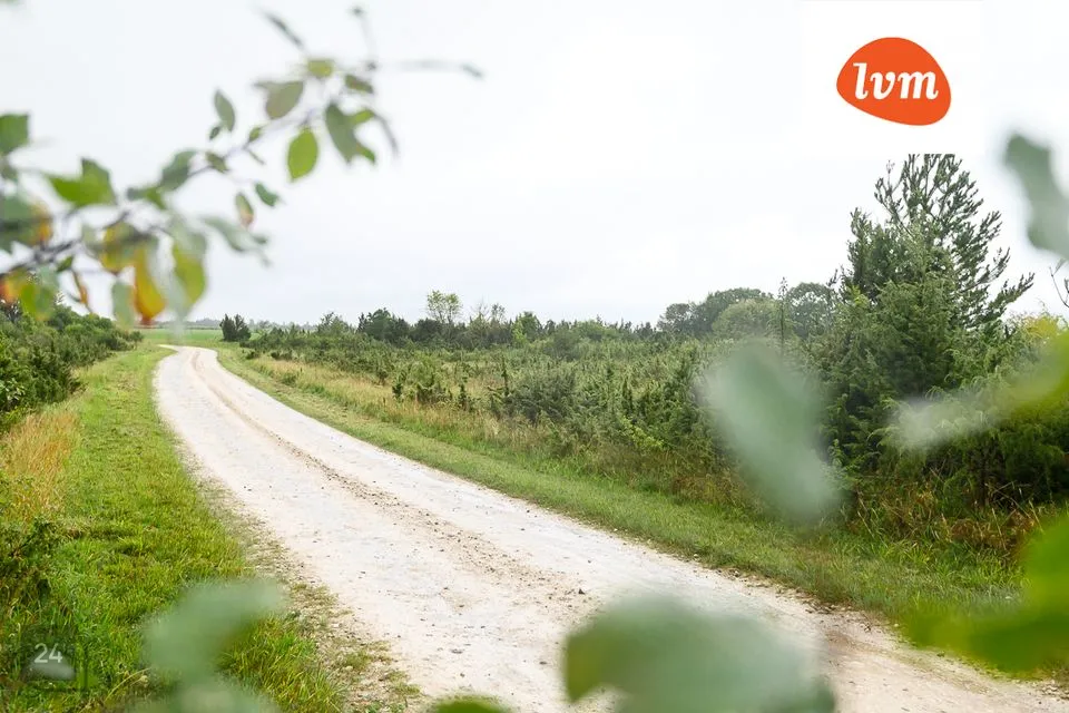 Maatulundusmaa, 52400 m² Maa - Saaremaa vald, Suure-Rootsi - foto 5