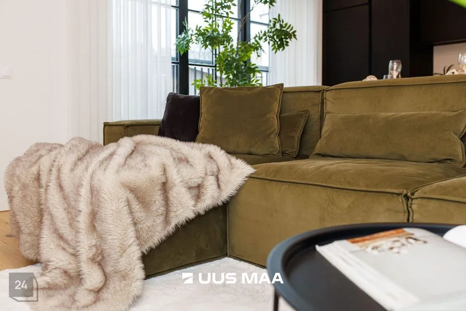 3-toaline Korter  -  Tallinn, Põhja-Tallinna linnaosa - foto 3