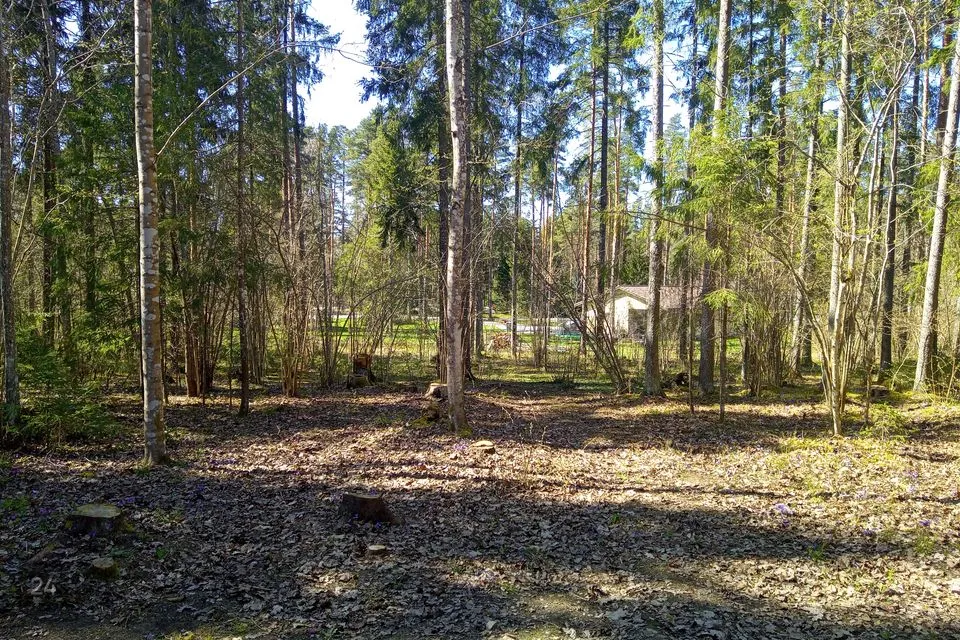 Земля жилой застройки, 4019 m² участок в Rapla vald, Sulupere küla - фото 3