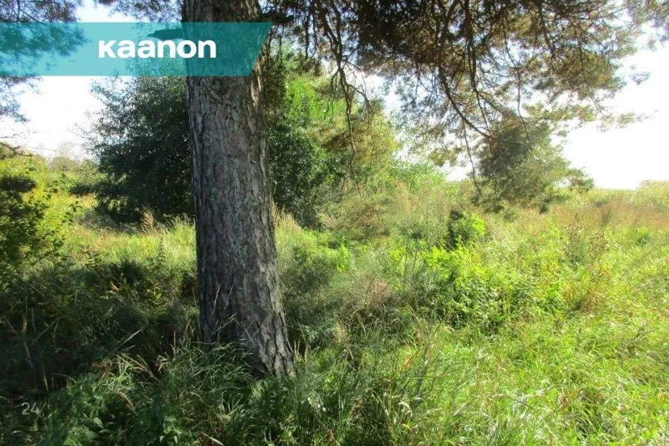 1940 m² Maa - Tallinn, Haabersti linnaosa