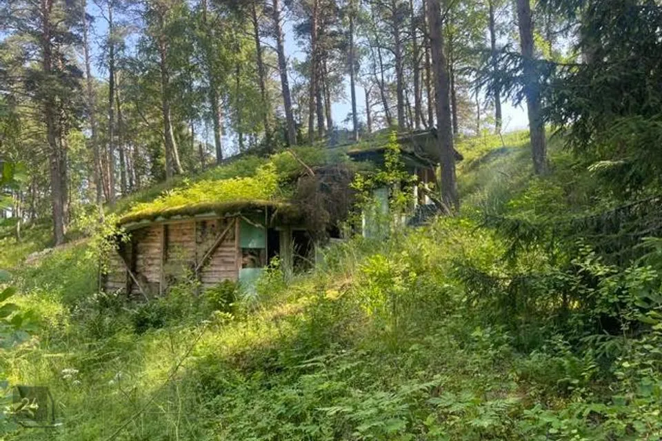 Elamumaa, 3045 m² Maa  -  Alutaguse vald, Alajõe küla - foto 2