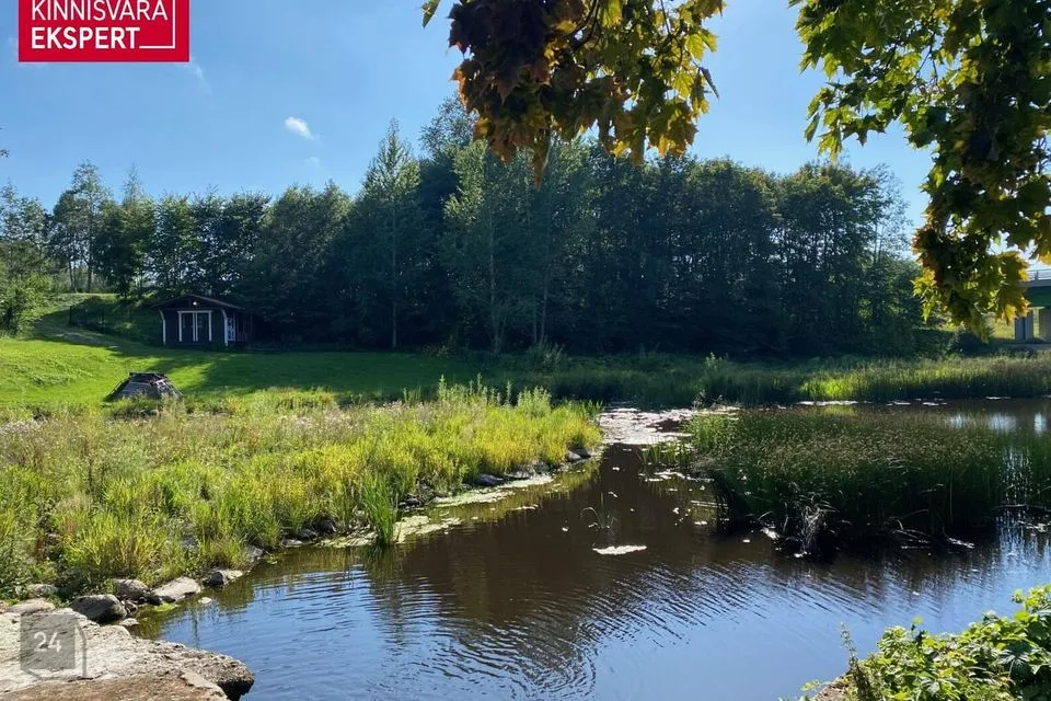 Maatulundusmaa, 53300 m² Maa - Tori vald, Nurme küla - foto 5