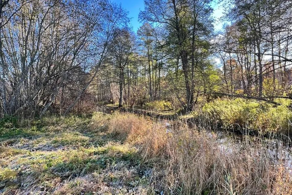 Elamumaa või Ärimaa, 10183 m² Maa - Kuusalu vald, Valkla küla - foto 3
