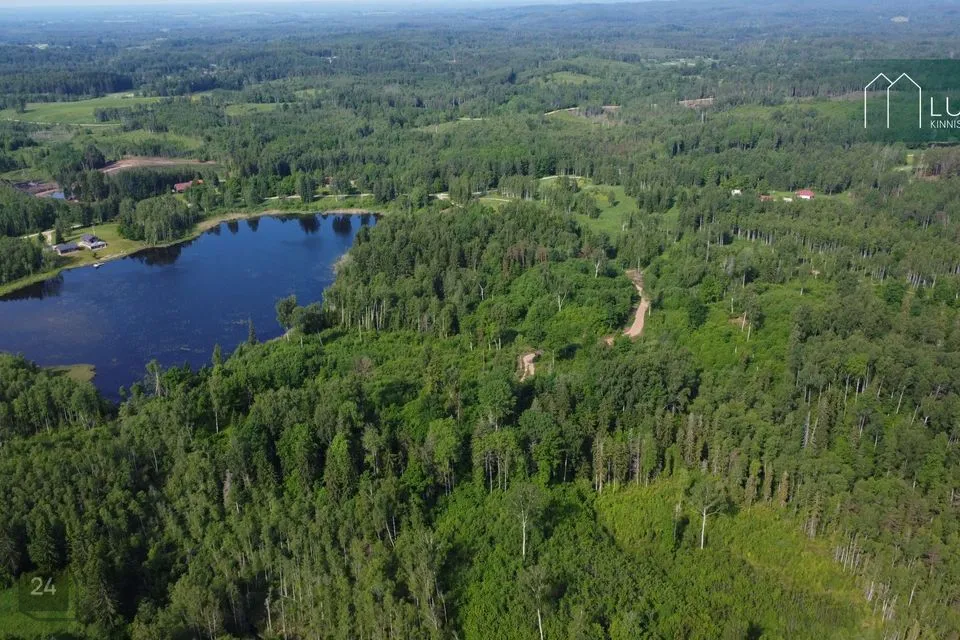 Maatulundusmaa, 12323 m² участок в Otepää vald, Kaurutootsi küla - фото 3