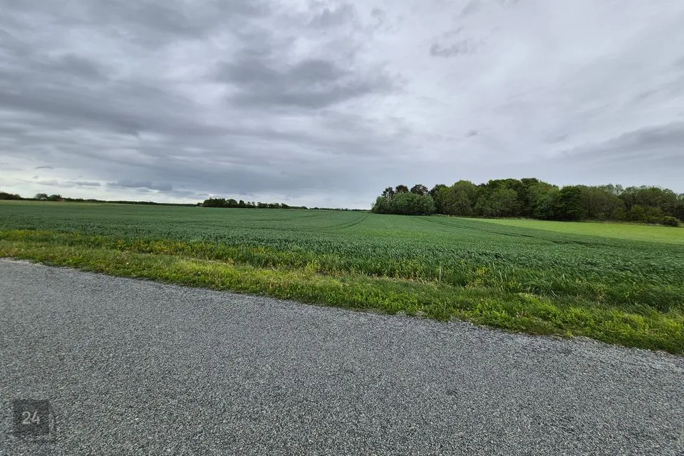 Maatulundusmaa, 20700 m² Maa  -  Jõhvi vald, Konju küla - foto 4