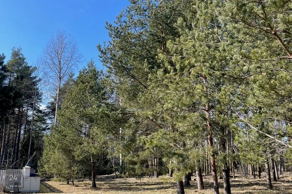 Земля жилой застройки, 1336 m² участок в Alutaguse vald, Karjamaa küla - фото 2