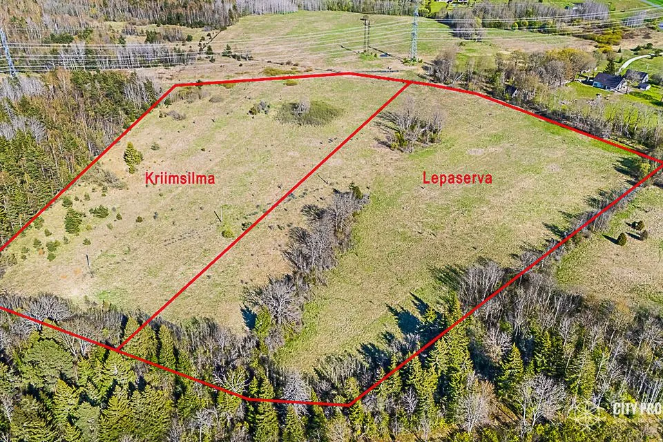 Maatulundusmaa, 20003 m² участок в Saku vald, Üksnurme küla - фото 5