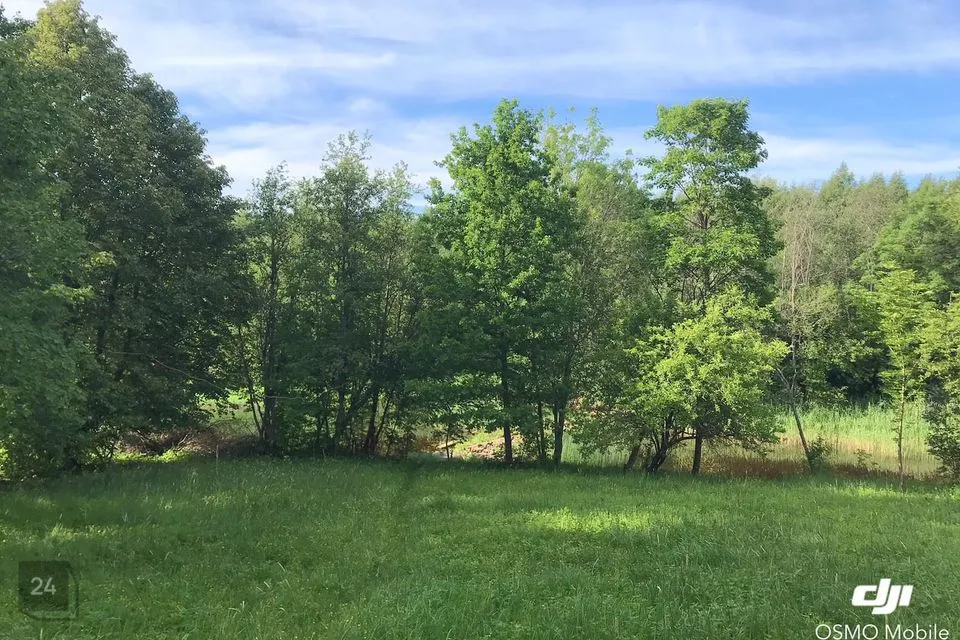 Elamumaa, 1603 m² Maa  -  Märjamaa vald, Velise küla - foto 5