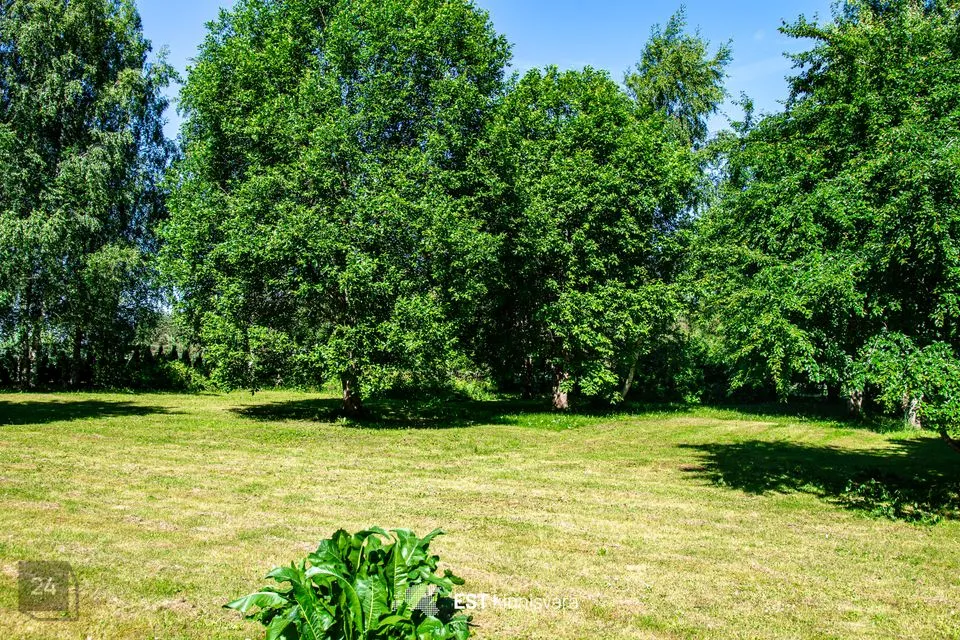 Elamumaa, 9399 m² Maa  -  Kastre vald, Mõra küla - foto 4