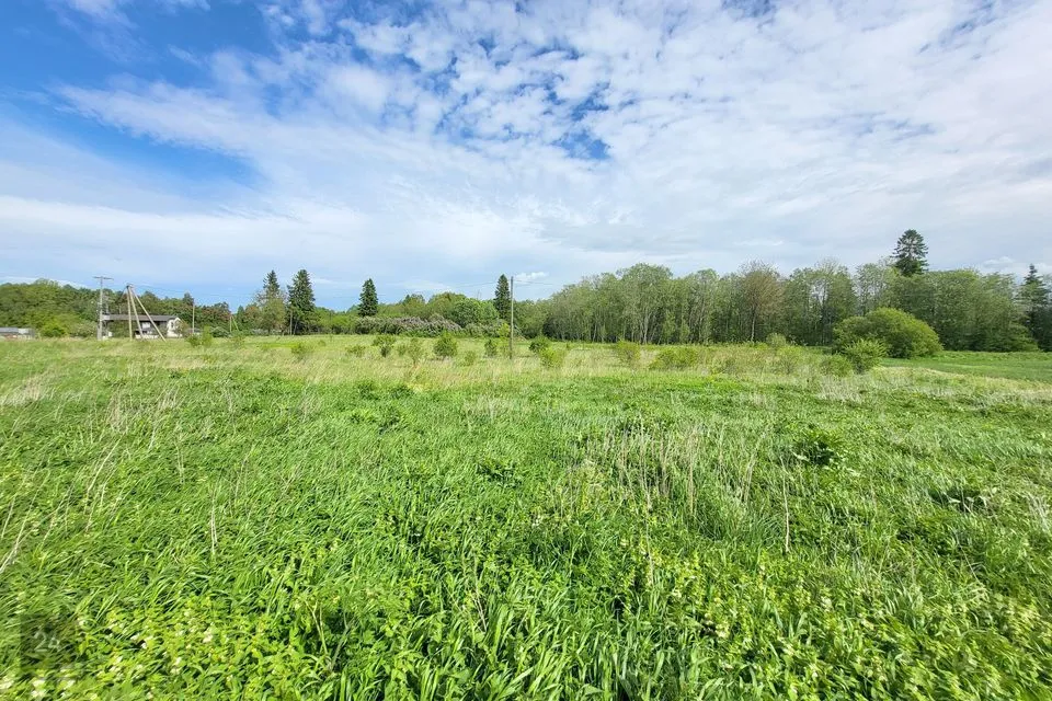 Tootmismaa, 12739 m² Maa  -  Raasiku vald, Järsi küla