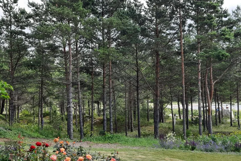 Elamumaa, 2503 m² Maa - Hiiumaa vald, Kalana küla