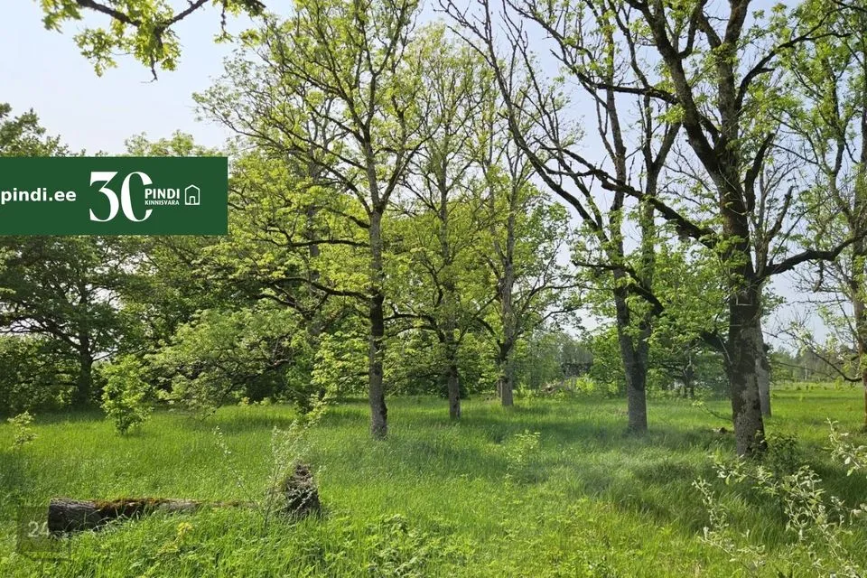 Maatulundusmaa, 16840 m² Maa - Märjamaa vald, Vana-Vigala küla - foto 4