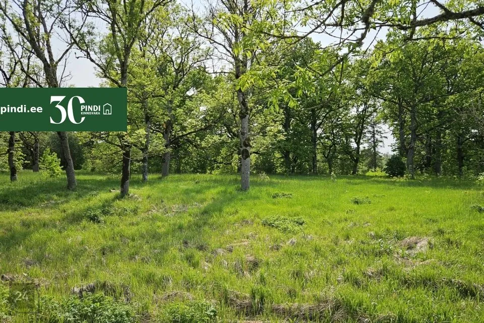 Maatulundusmaa, 16840 m² Maa - Märjamaa vald, Vana-Vigala küla - foto 2