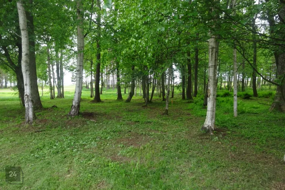 Elamumaa, 9751 m² Maa  -  Häädemeeste vald, Majaka küla - foto 5