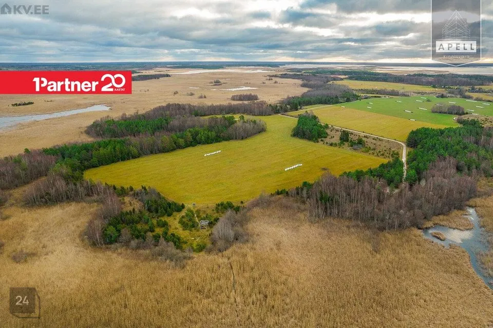 Maatulundusmaa, 114871 m² Maa - Lääne-Nigula vald, Saare küla / Lyckholm - foto 5