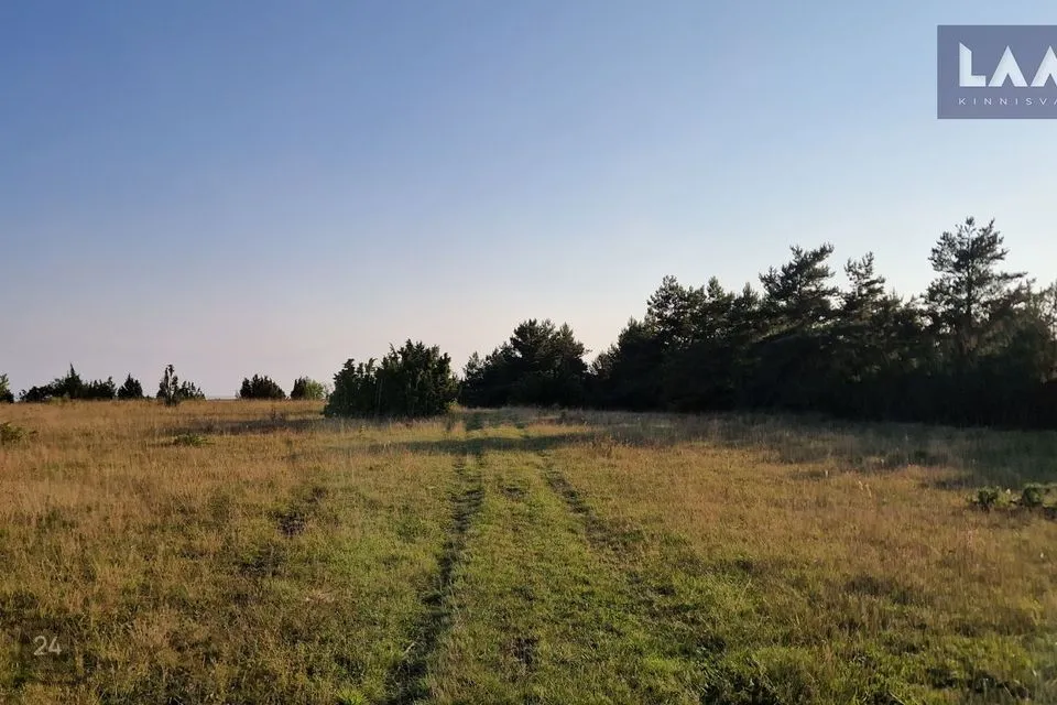 Maatulundusmaa, 81295 m² Maa  -  Saaremaa vald, Suure-Rootsi küla - foto 2