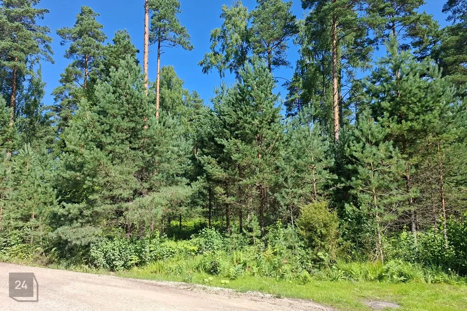 Elamumaa, 2256 m² Maa  -  Alutaguse vald, Kuru küla - foto 2