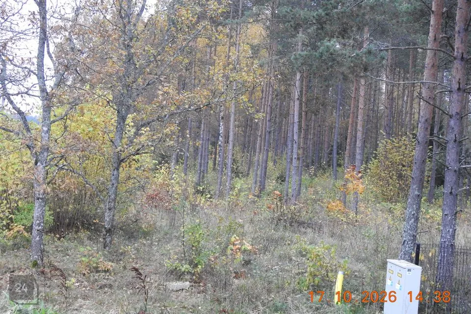 Maatulundusmaa, 11563 m² Maa  -  Kohila vald, Aandu küla - foto 5