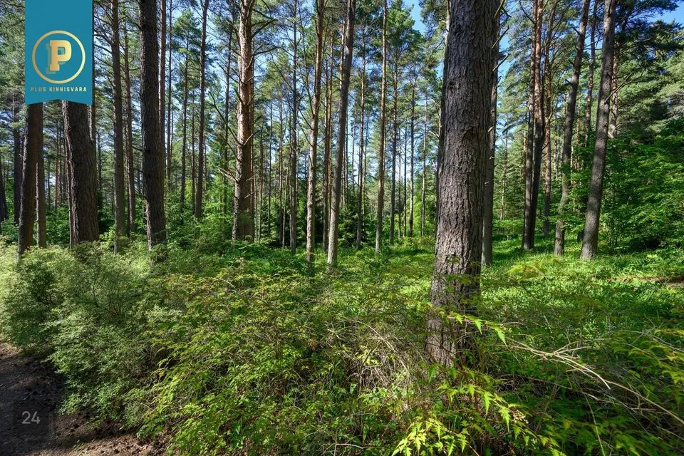 Maatulundusmaa, 1801 m² Maa  -  Tallinn, Pirita linnaosa - foto 5