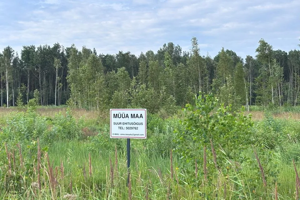 Maatulundusmaa, 20998 m² Maa - Tori vald, Eametsa küla - foto 2