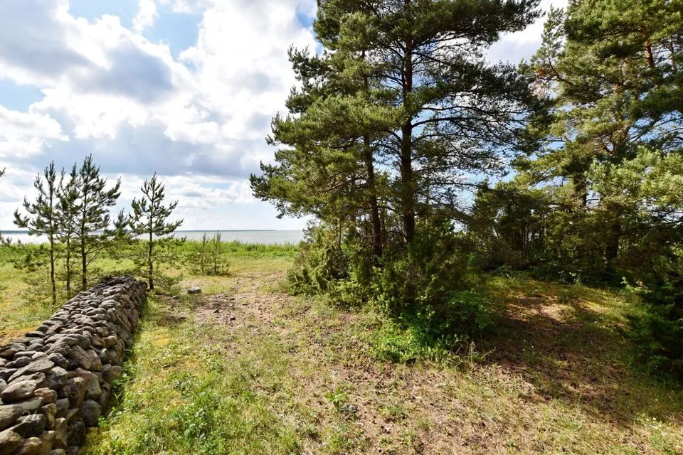 Maatulundusmaa, 7450 m² Maa  -  Saaremaa vald, Jõiste küla - foto 2