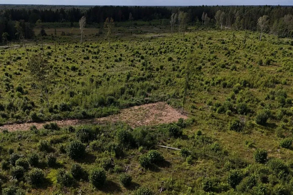 Maatulundusmaa, 51791 m² Maa - Lääne-Harju vald, Ohtu küla - foto 4