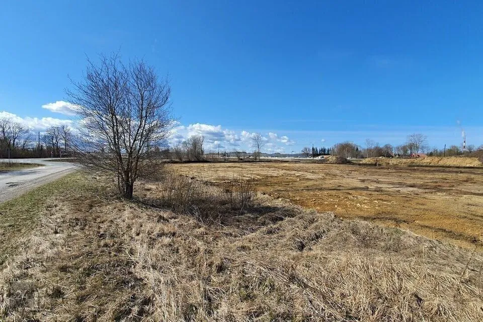 Maatulundusmaa, 5000 m² Maa  -  Tallinn, Lasnamäe linnaosa - foto 5