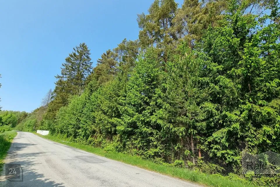 Elamumaa, 3847 m² Maa  -  Saue vald, Laitse küla - foto 2