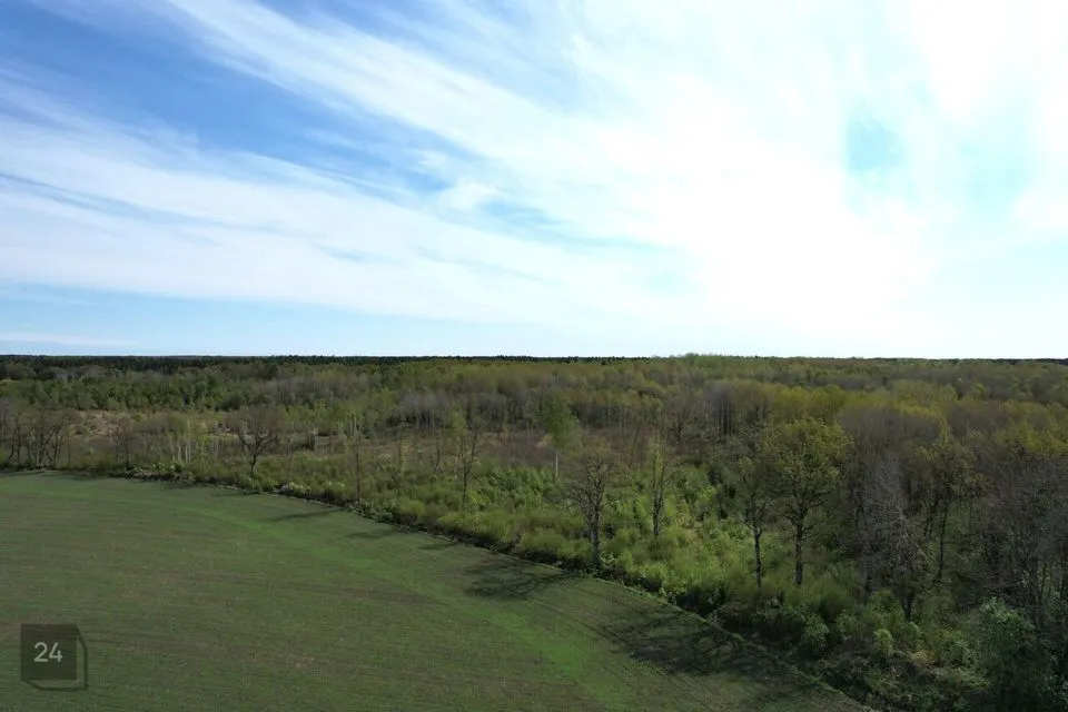 Cultivated land, 33296 m² land in Saaremaa vald, Väike-Võhma küla - photo 5