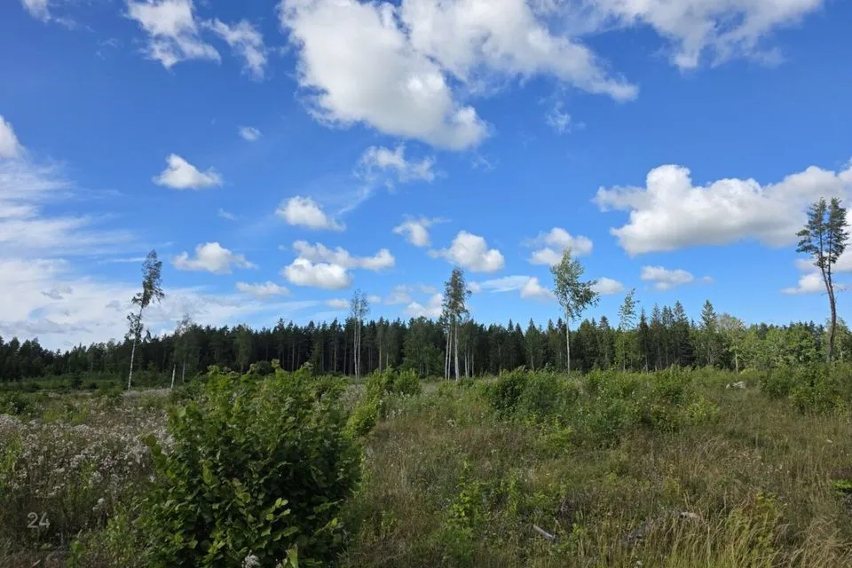 Maatulundusmaa, 51791 m² Maa - Lääne-Harju vald, Ohtu küla - foto 3