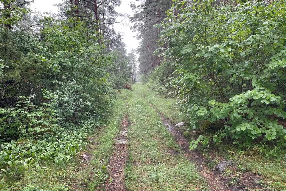 Maatulundusmaa, 21700 m² Maa - Muhu vald, Kuivastu küla - foto 4