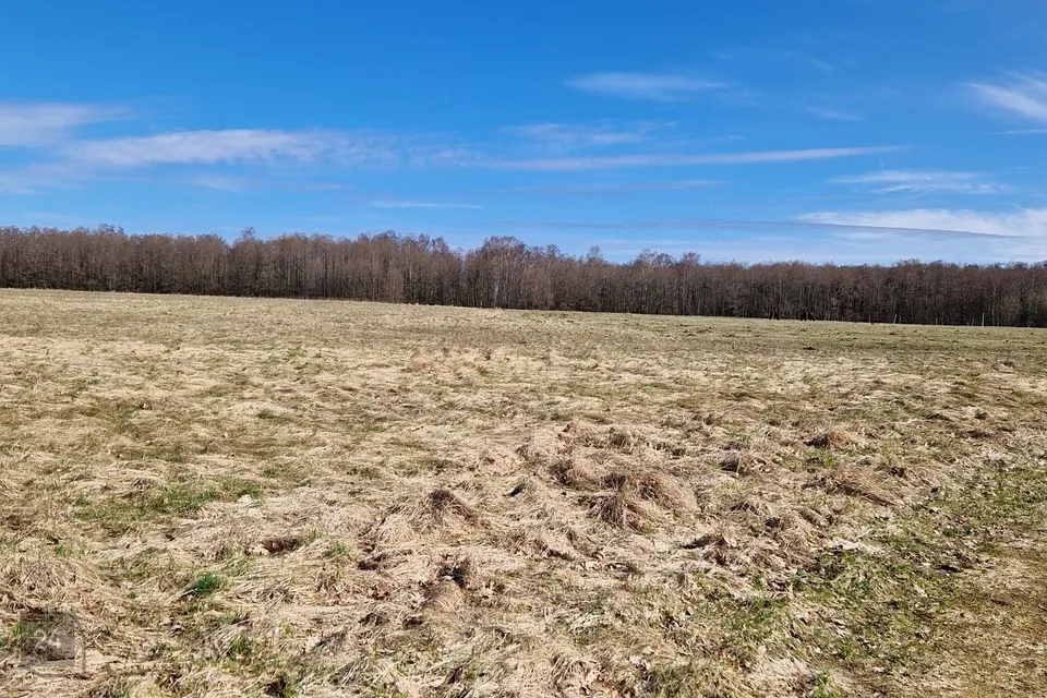 Maatulundusmaa, 19000 m² Maa  -  Vormsi vald, Hosby küla - foto 4