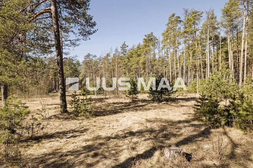 Maatulundusmaa, 4600 m² Maa  -  Tallinn, Nõmme linnaosa