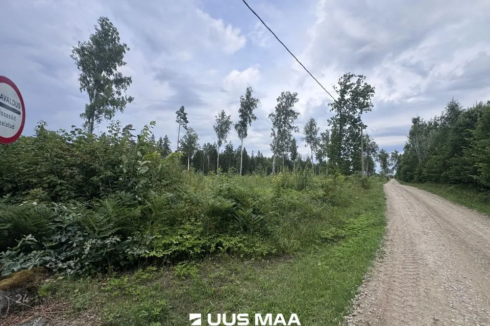 Cultivated land, 12706 m² land in Kohila vald, Mälivere küla - photo 3