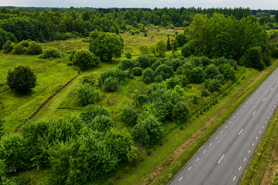 Maatulundusmaa, 9677 m² Maa  -  Raasiku vald, Tõhelgi küla - foto 5
