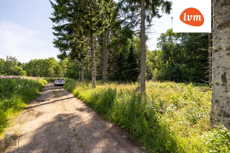 Maatulundusmaa, 11276 m² Maa - Kuusalu vald, Kaberla küla - foto 2