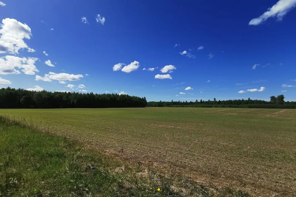 Maatulundusmaa, 22000 m² Maa - Kose vald, Paunküla