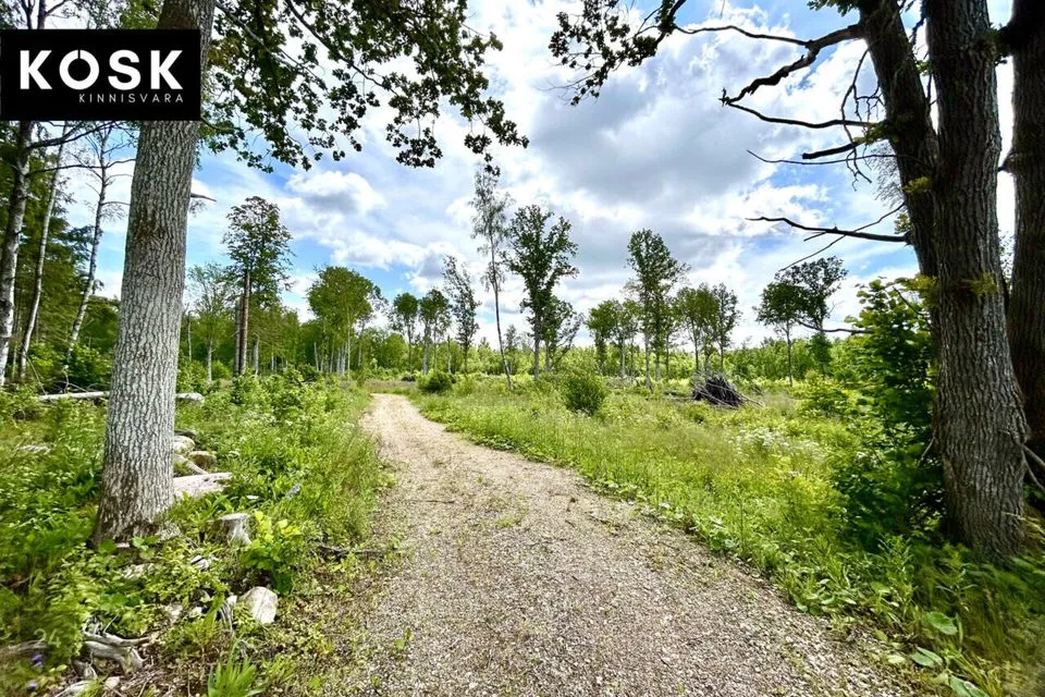 Maatulundusmaa, 20458 m² Maa - Lääneranna vald, Rädi küla - foto 4