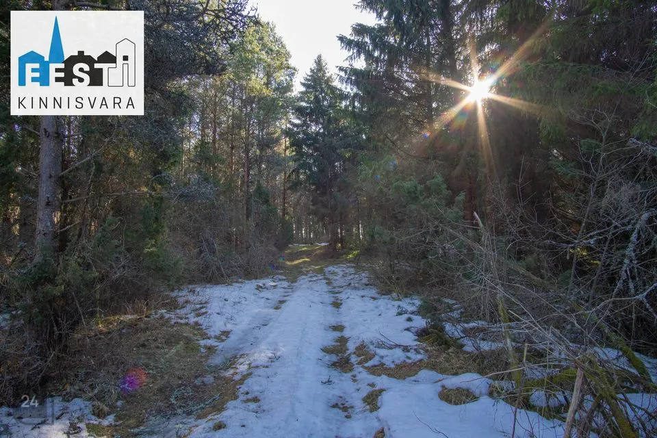 Maatulundusmaa, 370390 m² Maa  -  Lääneranna vald, Esivere küla - foto 5