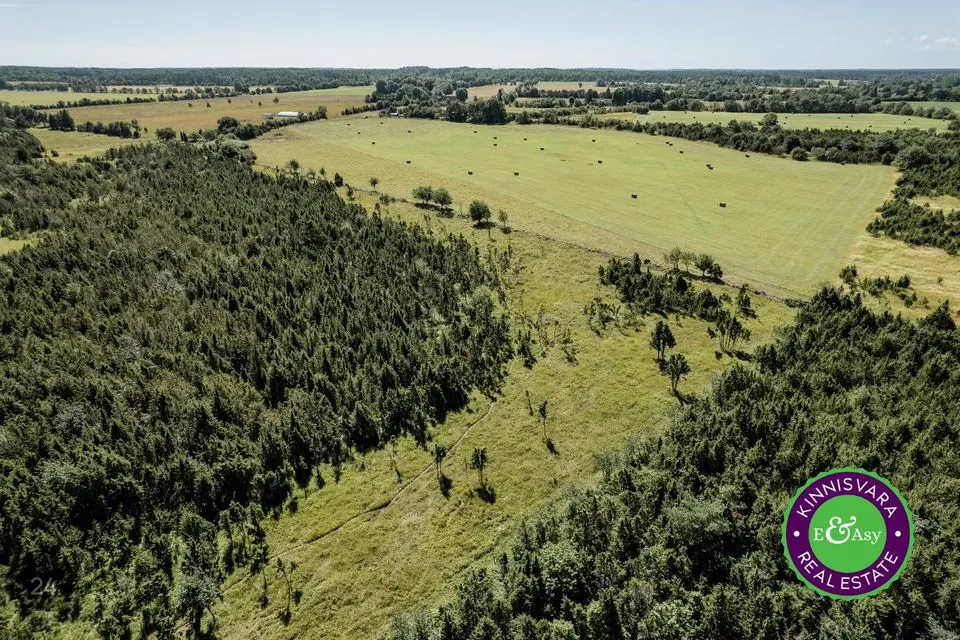 173800 m² Maa  -  Saaremaa vald, Pöide-Keskvere küla - foto 5