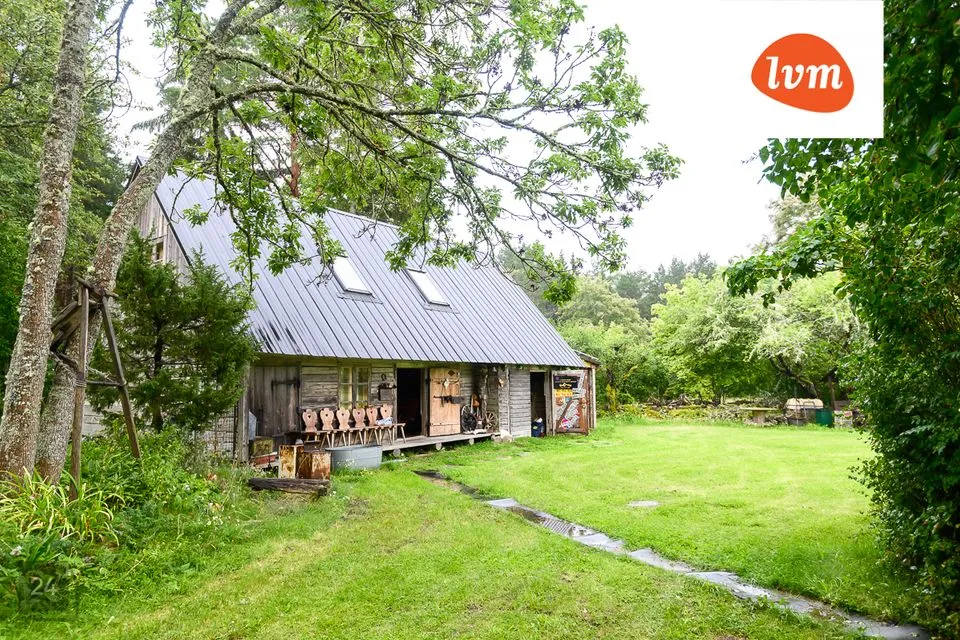 Suvila  -  Saaremaa vald, Unguma küla