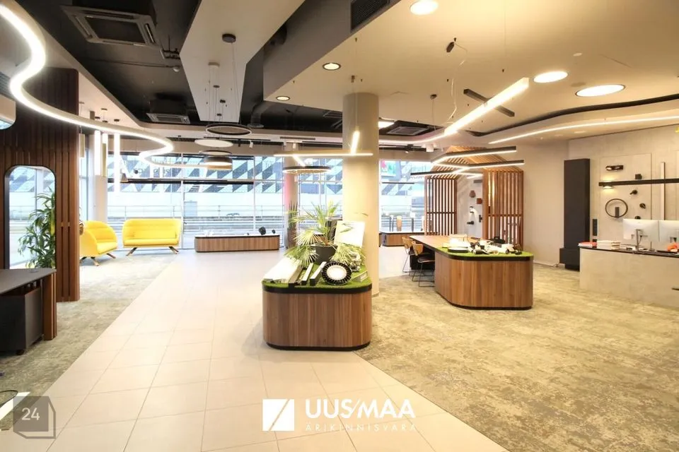 Mitme sihtotstarbega, 291 m² Äripind - Tallinn, Lasnamäe linnaosa - foto 4