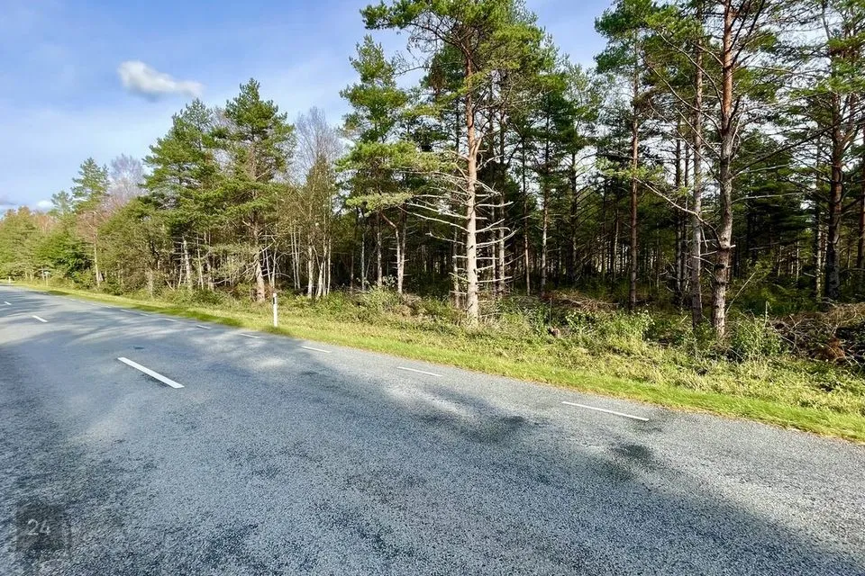 Maatulundusmaa, 22100 m² участок в Saaremaa vald, Vantri küla - фото 5