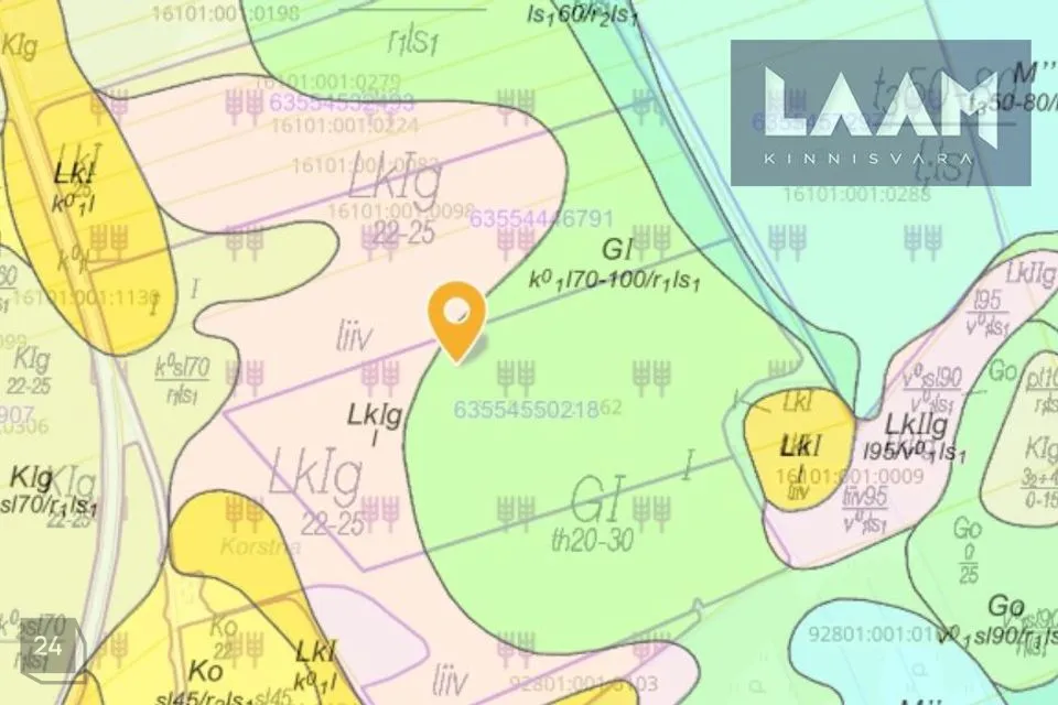 Maatulundusmaa, 92781 m² Maa  -  Väike-Maarja vald, Hirla küla - foto 3