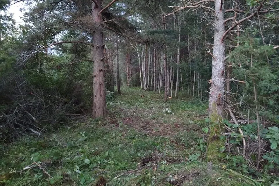 Elamumaa, 33900 m² Maa  -  Lääne-Nigula vald, Hara küla / Harga - foto 4