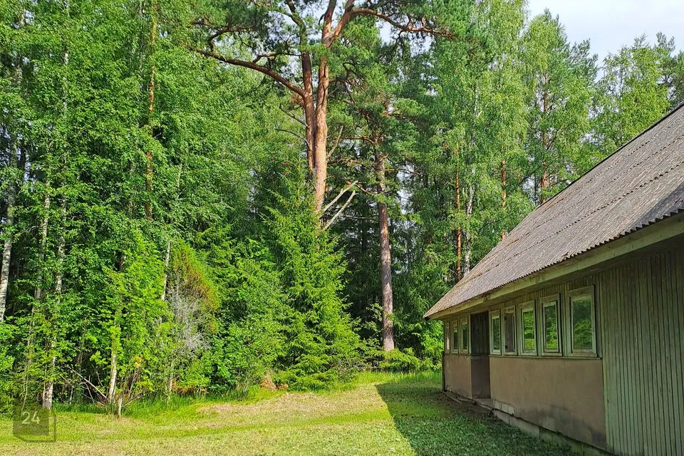 Земля жилой застройки, 5106 m² участок в Haljala vald, Võsu alevik - фото 2