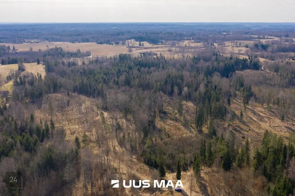 Maatulundusmaa, 26032 m² Maa - Otepää vald, Kaurutootsi küla - foto 2