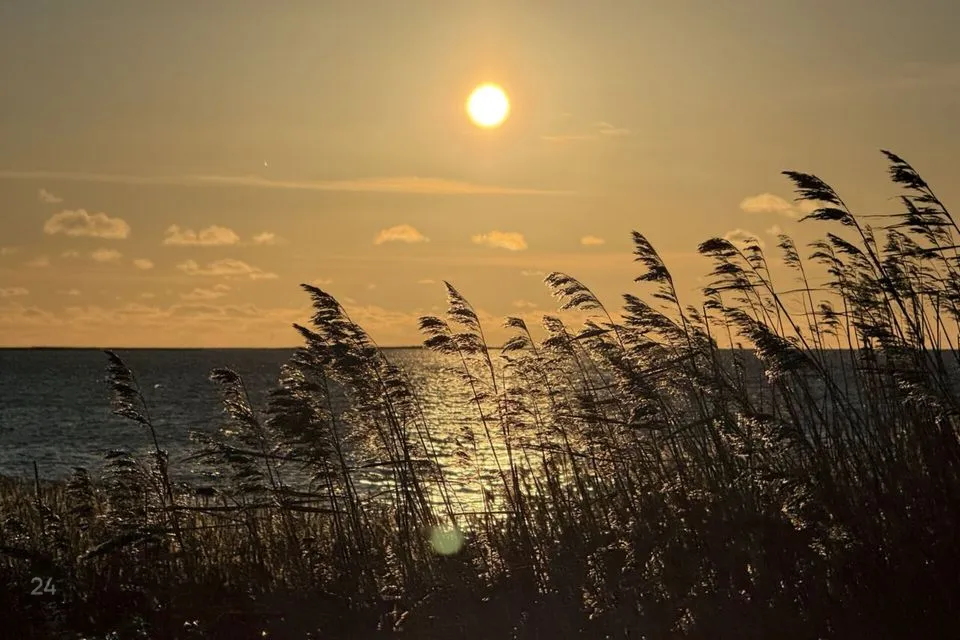 4-toaline Maja  -  Lääneranna vald, Mereäärse küla - foto 2