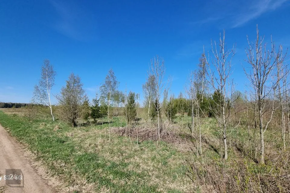 Maatulundusmaa, 21300 m² Maa  -  Peipsiääre vald, Kokanurga küla - foto 3