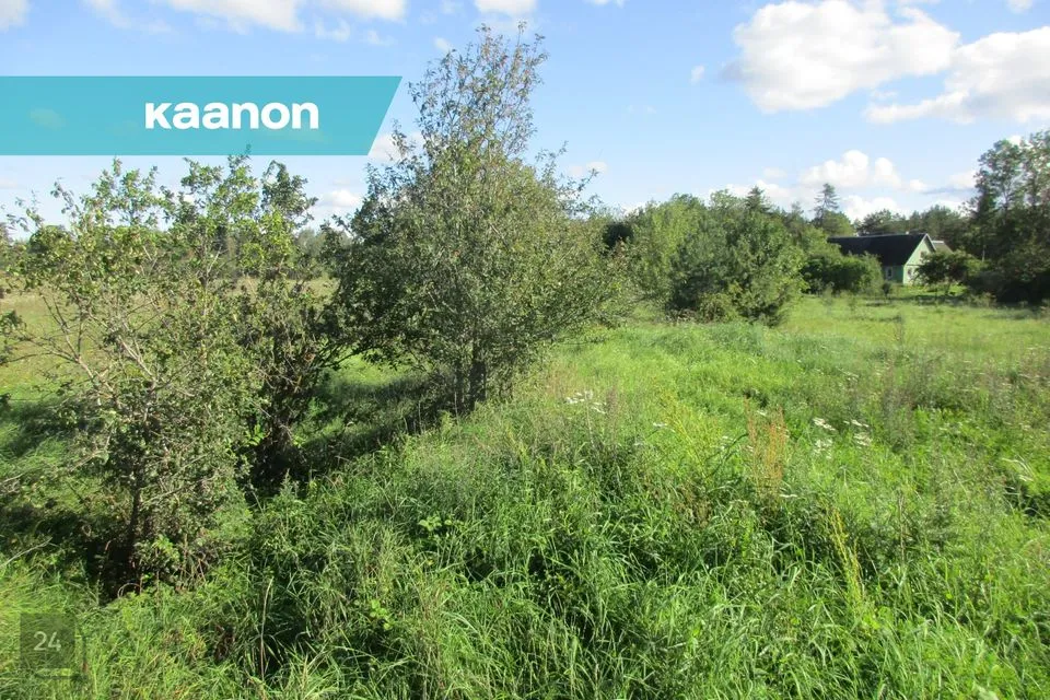 75796 m² Maa  -  Lääne-Harju vald, Lehola küla - foto 2